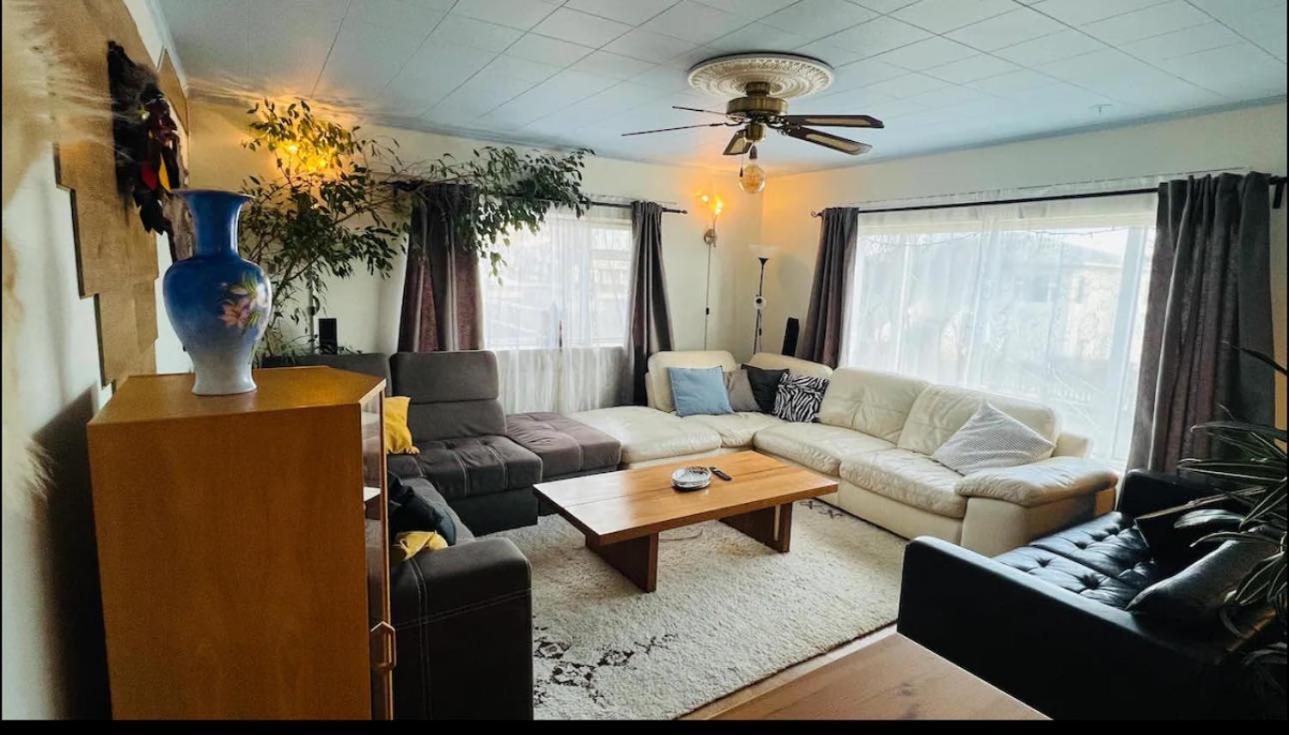 Dream Guesthouse Вик Экстерьер фото